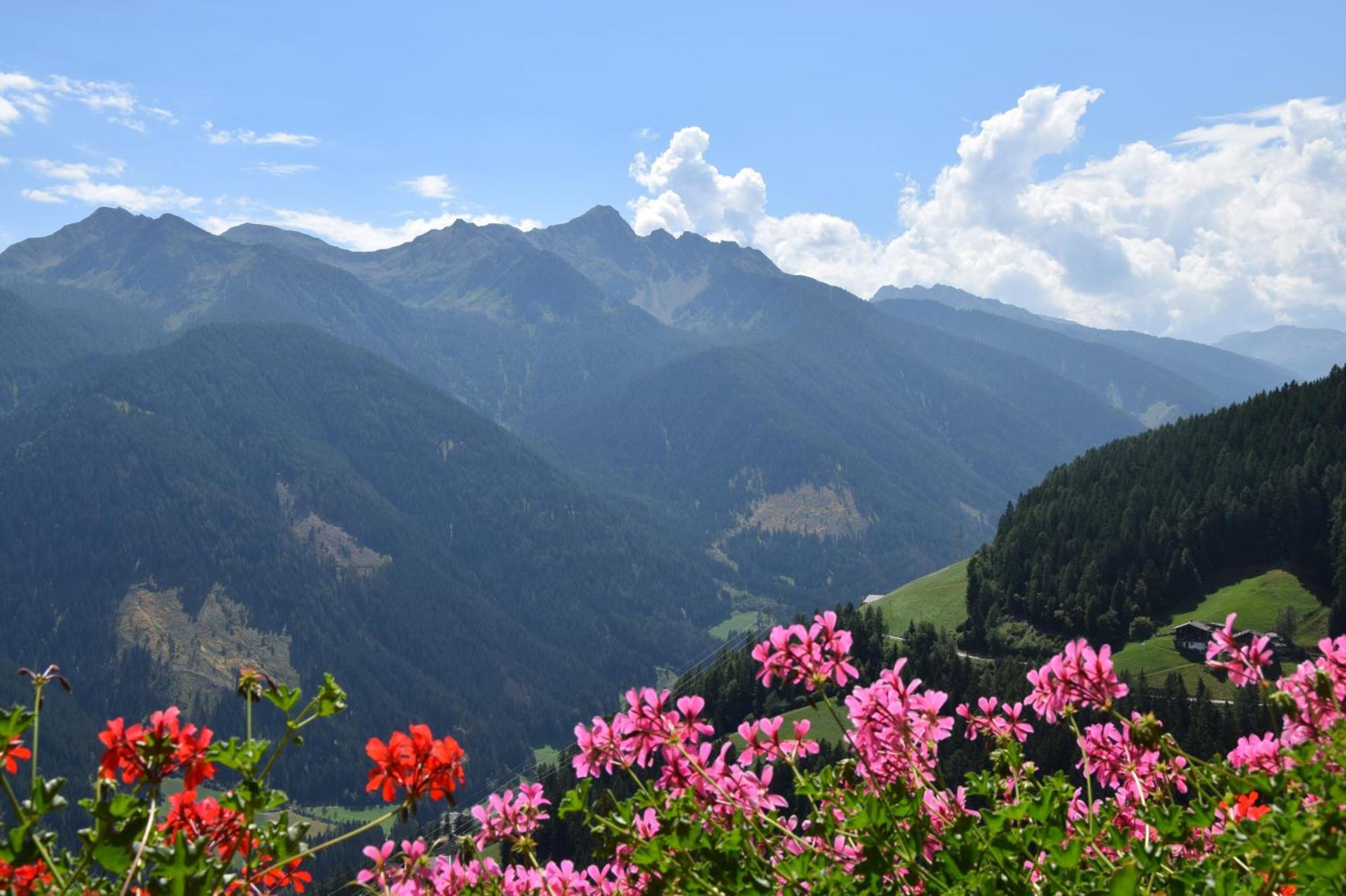 Ortlerhof Im Ultental - Urlaub Auf Dem Bauernhof Kültér fotó